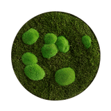 Moosbild ELLIPSOID Wald- und Ballenmoos Finestgreen 