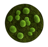 Moosbild ELLIPSOID Wald- und Ballenmoos Finestgreen [mc]