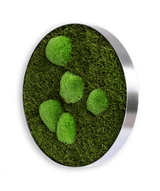 Moosbild ELLIPSOID Wald- und Ballenmoos Finestgreen 