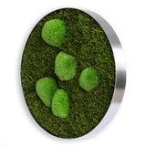 Moosbild ELLIPSOID Wald- und Ballenmoos Finestgreen 