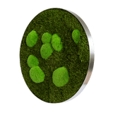 Moosbild ELLIPSOID Wald- und Ballenmoos Finestgreen 
