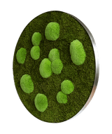 Moosbild ELLIPSOID Wald- und Ballenmoos Finestgreen 