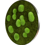 Moosbild ELLIPSOID Wald- und Ballenmoos Finestgreen 