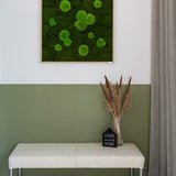 Moosbild Wald- und Ballenmoos 80x80 cm Finestgreen 