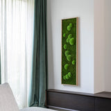 Moosbild Wald- und Ballenmoos 140x40 cm Finestgreen 