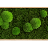 Moosbild Wald- und Ballenmoos 140x40 cm Finestgreen 