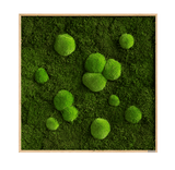 Moosbild Wald- und Ballenmoos 80x80 cm Finestgreen 