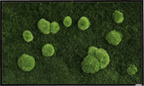 Moosbild Wald- und Ballenmoos 100x60 cm Finestgreen 